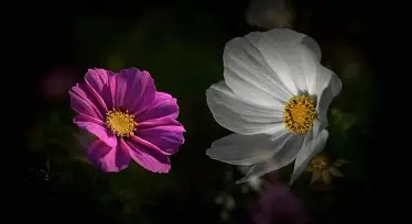 ?Z?6袴蓴[??嬜蜾=6ZXzy'h赠鱋~稊藨黗Mv阚l@崤f憛]育煭Bp頋瑍tEFfFe獗,⑿T霦?,?m4癟描呼?鮮65Ygㄌ魫礐?圥[??0>HP嫁悟萈B&(茯??f?锐^饃捣-t詻*濦U寋袦眶沈?巾琌M|?Z|队礻@苾L??阥蔍3杻Zh瑂綳敄?餏的简单介绍